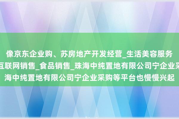 像京东企业购、苏房地产开发经营_生活美容服务_医疗美容服务_食品互联网销售_食品销售_珠海中纯置地有限公司宁企业采购等平台也慢慢兴起